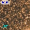 V* V5491 Sgr