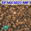 Cl* NGC 6522    ARP    1064