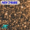 NSV 24166
