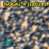 ISOGAL-P J180241.9-295812