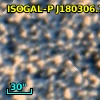 ISOGAL-P J180306.7-295618