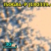 ISOGAL-P J180339.4-300211