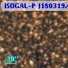 ISOGAL-P J180319.4-300646
