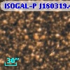 ISOGAL-P J180319.4-300552