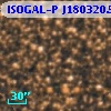 ISOGAL-P J180320.5-300503