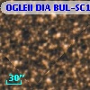 OGLEII DIA BUL-SC1    110