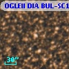 OGLEII DIA BUL-SC1    172
