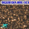 OGLEII DIA BUL-SC1    198