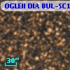 OGLEII DIA BUL-SC1    805