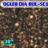 OGLEII DIA BUL-SC1   1411