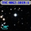 TYC 4062-1019-1