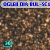OGLEII DIA BUL-SC1   1697