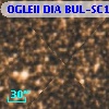 OGLEII DIA BUL-SC1   1859