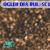 OGLEII DIA BUL-SC1   1887