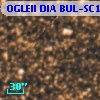 OGLEII DIA BUL-SC1   1998