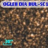 OGLEII DIA BUL-SC1   2526