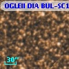 OGLEII DIA BUL-SC1   2816
