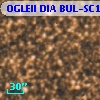 OGLEII DIA BUL-SC1   3388