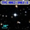 TYC 4062-1067-1