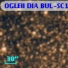 OGLEII DIA BUL-SC1   3813