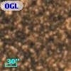 OGLE BWC   I     30