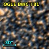 OGLE BWC   I     81