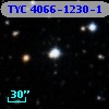 TYC 4066-1230-1