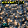 OGLE BWC   I    175