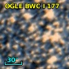 OGLE BWC   I    177