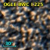 OGLE BWC   I    225