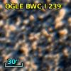 OGLE BWC   I    239