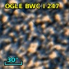 OGLE BWC   I    247