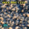 OGLE BWC   I    255