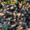 OGLE BWC   I    310