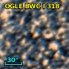 OGLE BWC   I    318