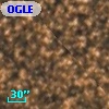 OGLE BWC   I    391