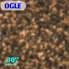 OGLE BWC   I    481
