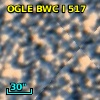 OGLE BWC   I    517