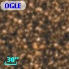 OGLE BWC   I    531