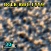 OGLE BWC   I    559