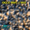 OGLE BWC   I    960