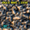 OGLE BWC   I   1036