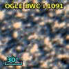OGLE BWC   I   1091