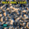 OGLE BWC   I   1181