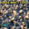 OGLE BWC   I   1202