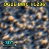 OGLE BWC   I   1236