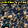 OGLE BWC   I   1239