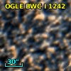 OGLE BWC   I   1242