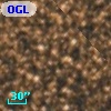 OGLE BWC   I   1299