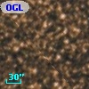 OGLE BWC   I   1305